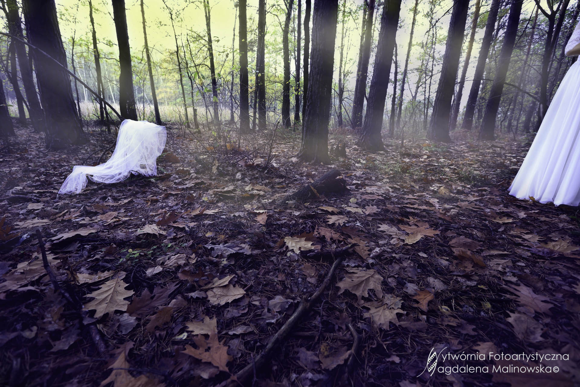 tn_14_magdalena_malinowska_wytwornia_fotoartystyczna_6C2A5791_1